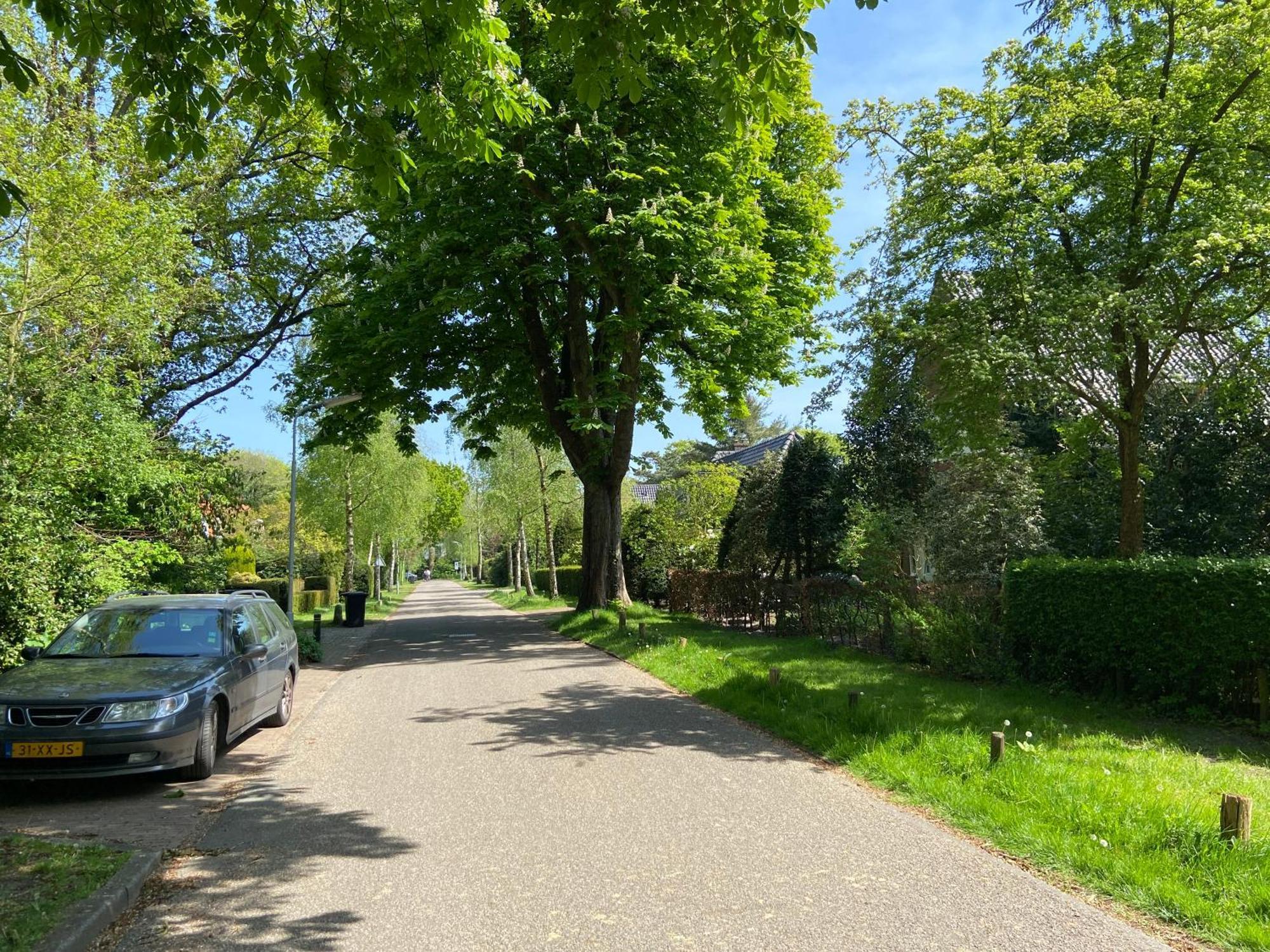 Studio Bergen Zewnętrze zdjęcie